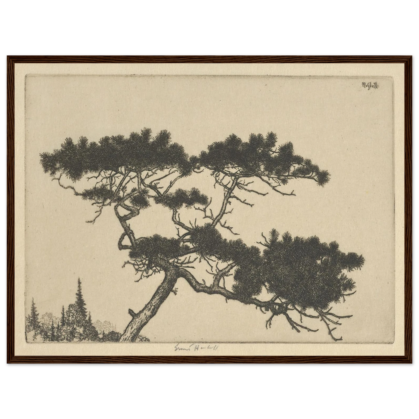 Crippled Pine (between 1900 and 1925) Art Print | Ernest Haskell - Framed Poster - 30x40 cm / 12x16″ - Black frame