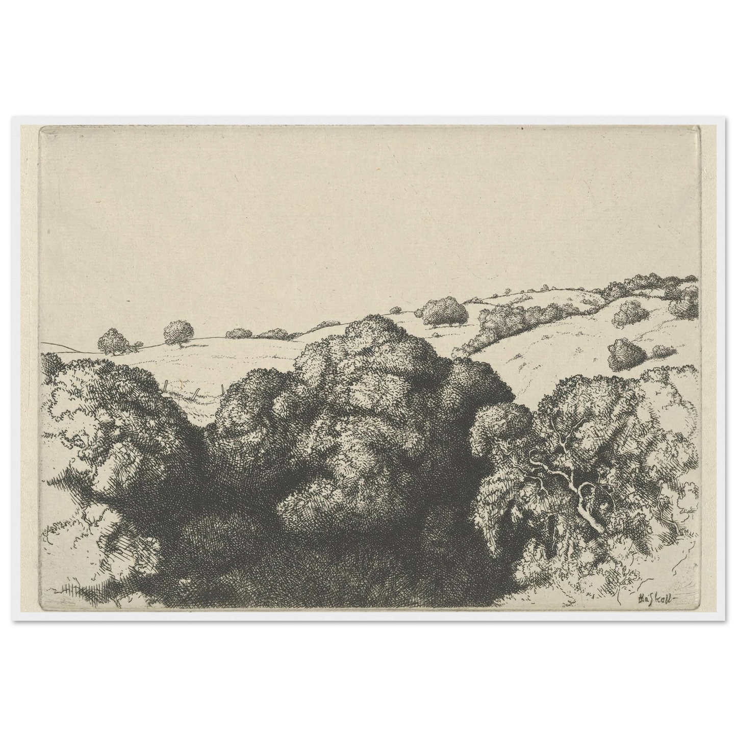 Live Oak Shadows (1900-1925) Art Print | Ernest Haskell-Quipham Collections