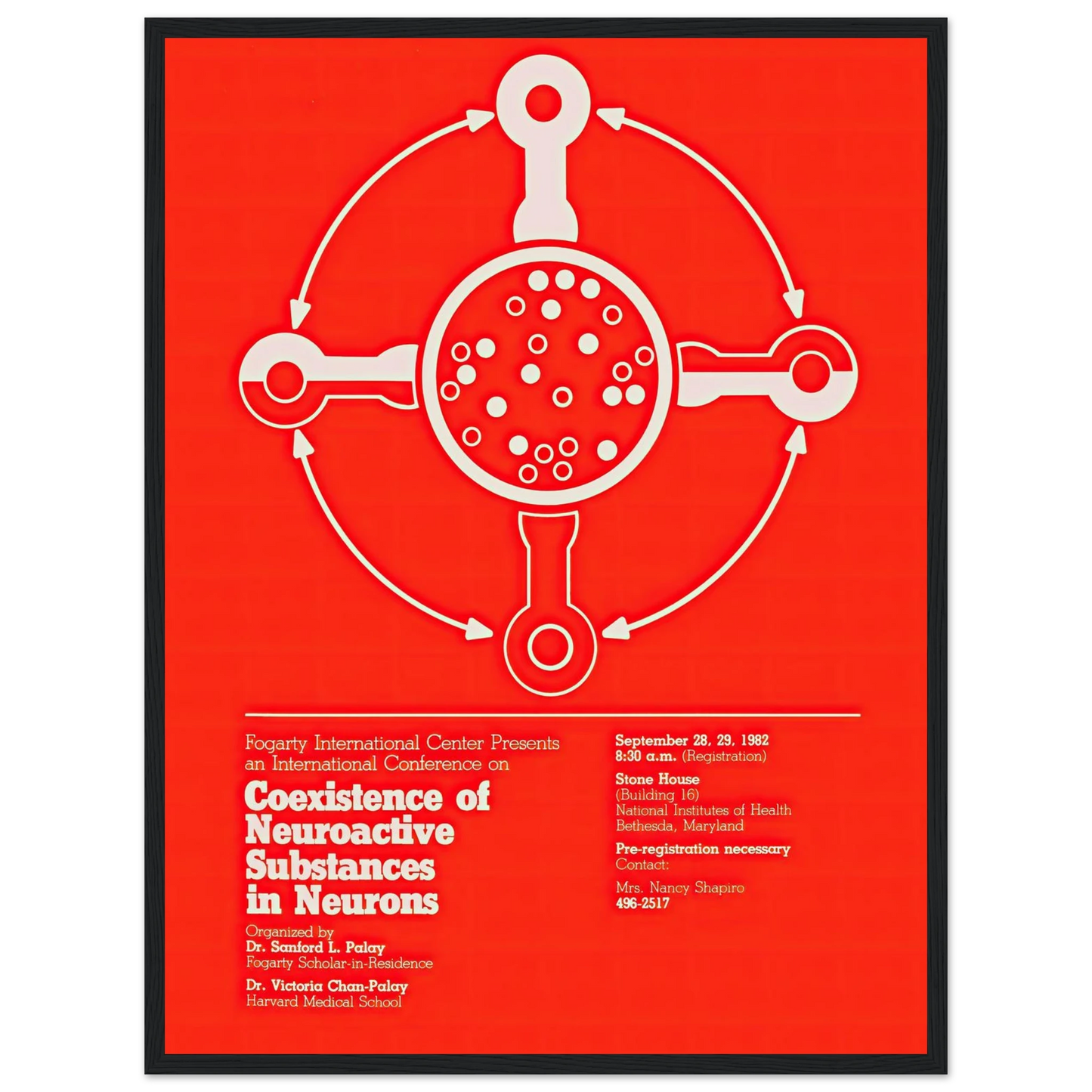 Coexistence of neuroactive substances in neurons (1982) Art Print | National Institutes of Health-Quipham Collections