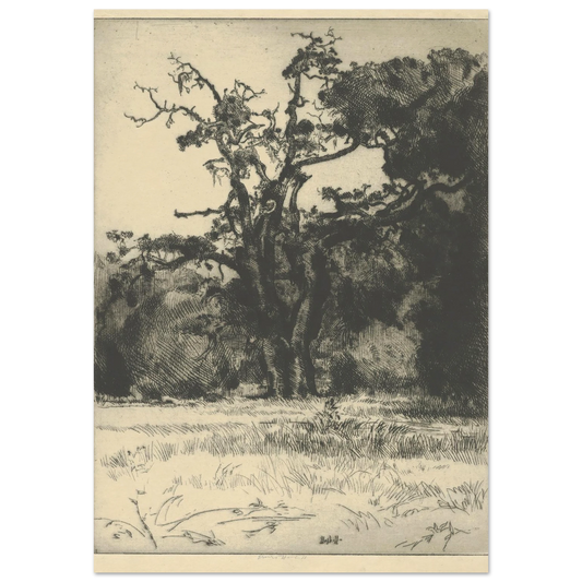 Dying White Oak (1900-1925) Art Print | Ernest Haskell-Quipham Collections