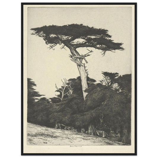 Dryad’s Parasol (1916-1922) Art Print | Ernest Haskell - Framed Poster - 30x40 cm / 12x16″ - Black frame