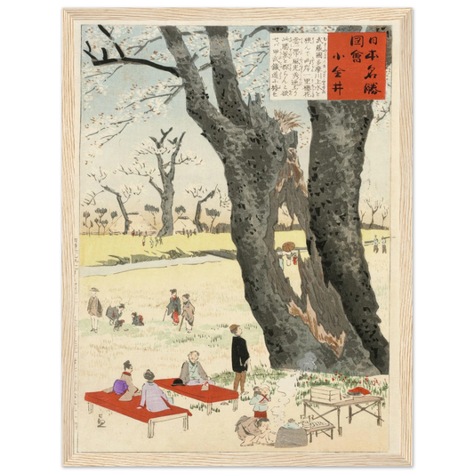 Koganei, Cherry Blossoms (1896) Art Print | Kobayashi Kiyochika-Quipham Collections