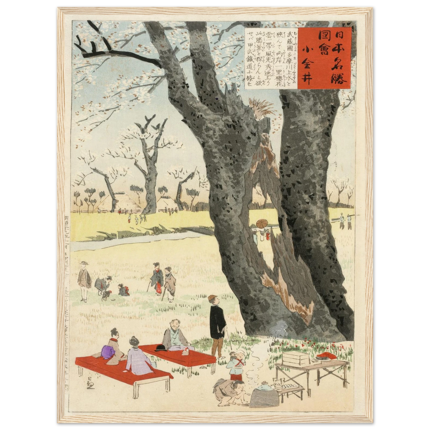 Koganei, Cherry Blossoms (1896) Art Print | Kobayashi Kiyochika-Quipham Collections