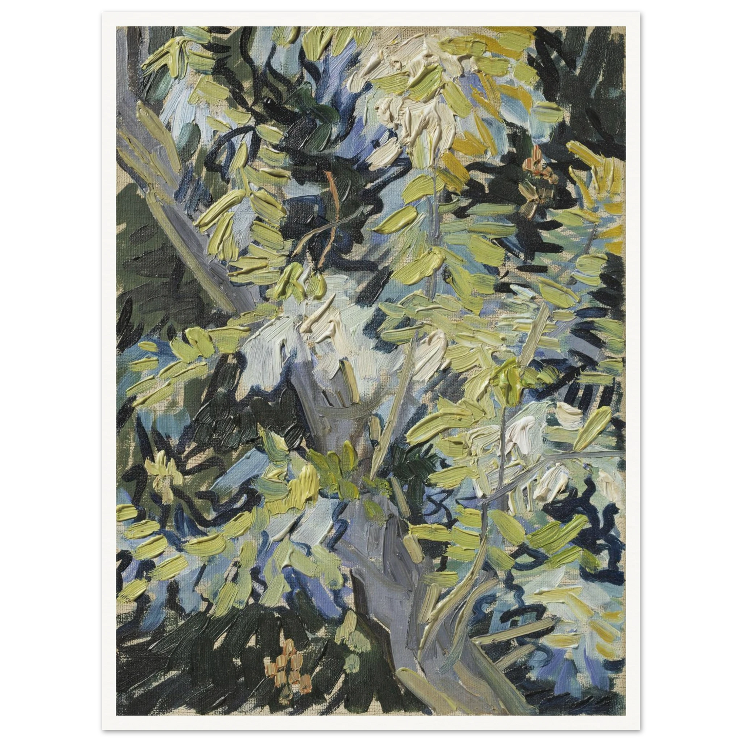Acacia in Flowers Art Print | Vincent van Gogh-Quipham Collections