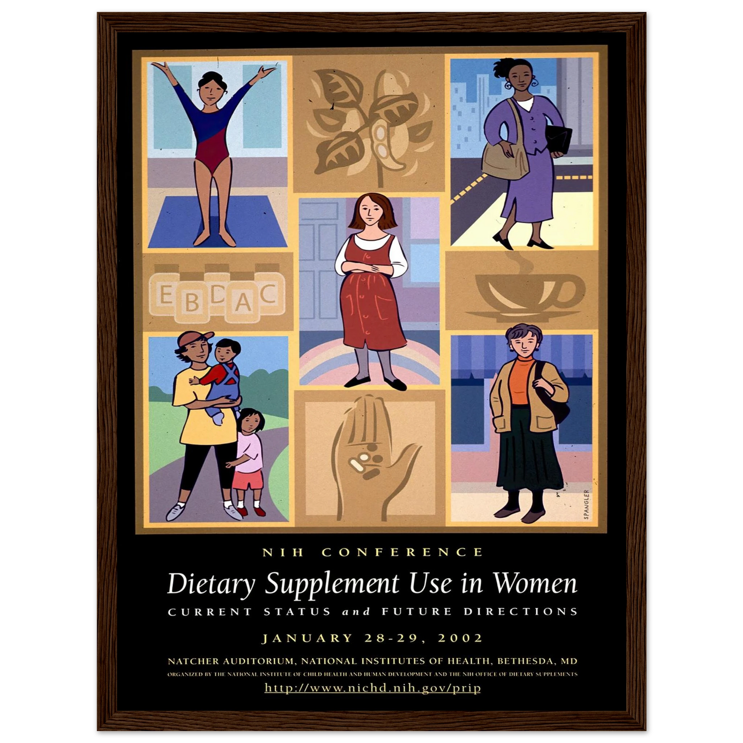 Dietary supplement use in women; current status and future directions (2002) Art Print | National Institutes of Health-Quipham Collections