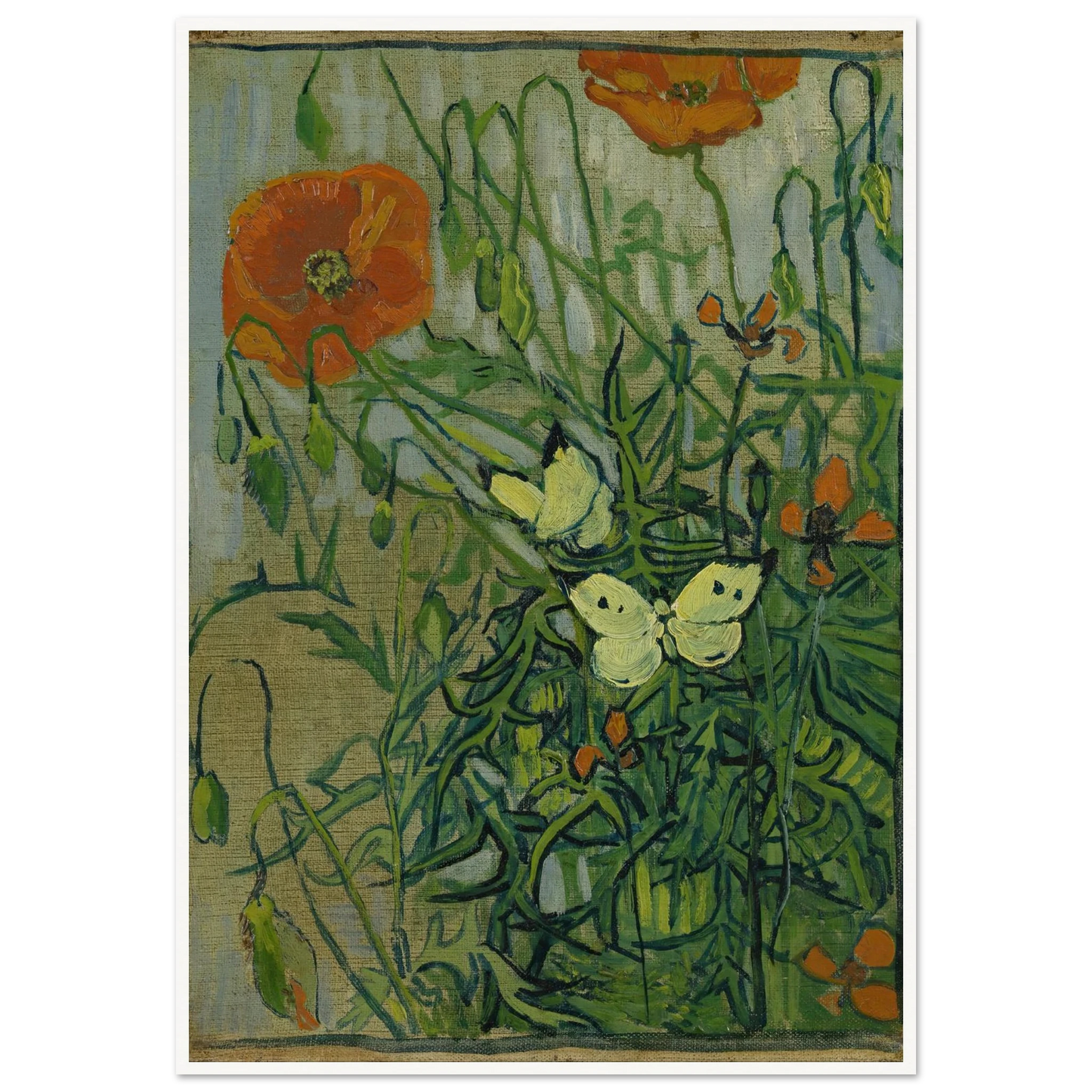 Butterflies and poppies (1890) Art Print | Vincent van Gogh-Quipham Collections