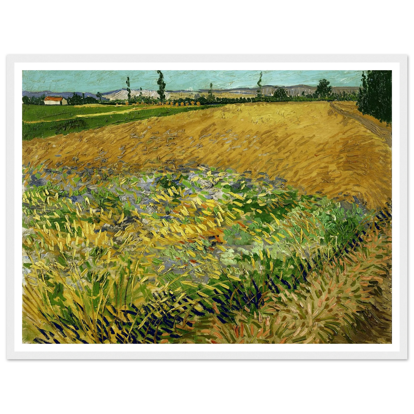 Wheatfield (1888) Art Print | Vincent van Gogh-Quipham Collections