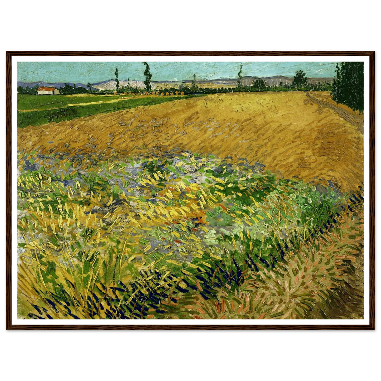 Wheatfield (1888) Art Print | Vincent van Gogh-Quipham Collections