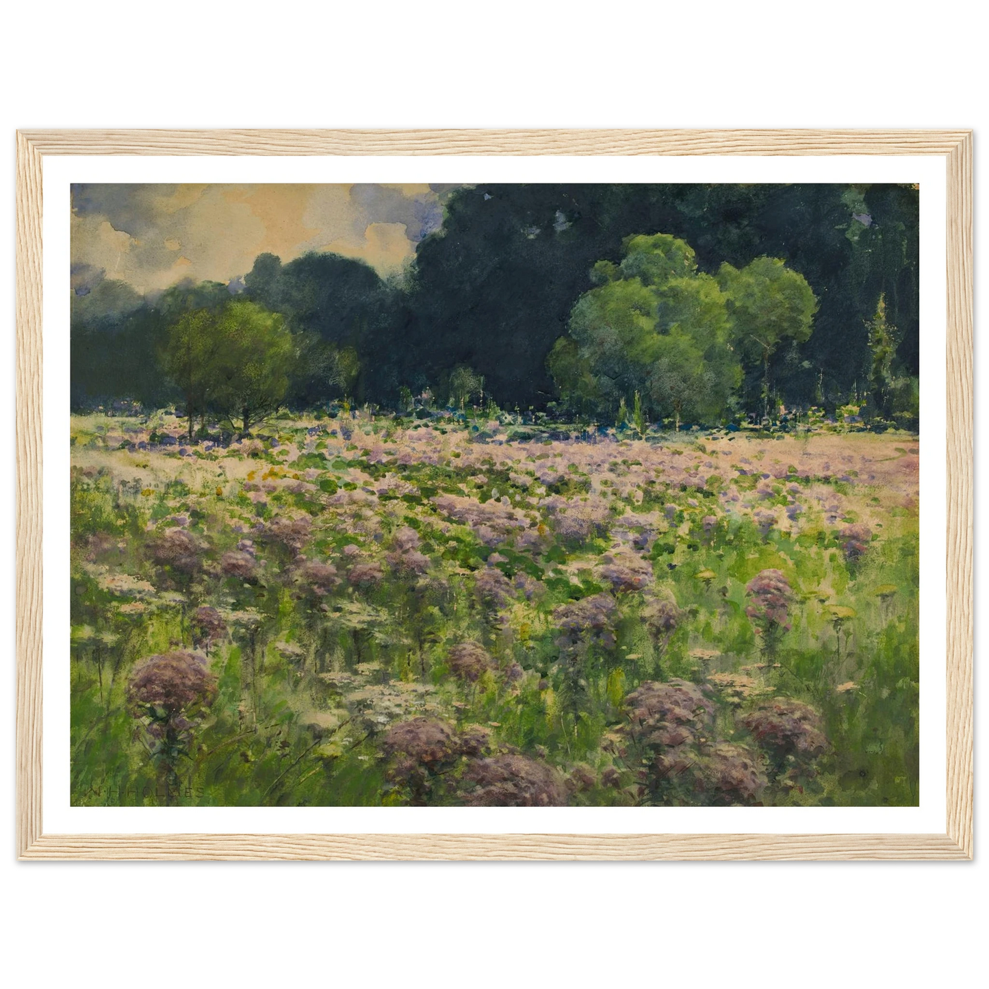 Field Of Joe Pie Weeds (Pride Of The Meadow) Art Print | William Henry Holmes-Quipham Collections