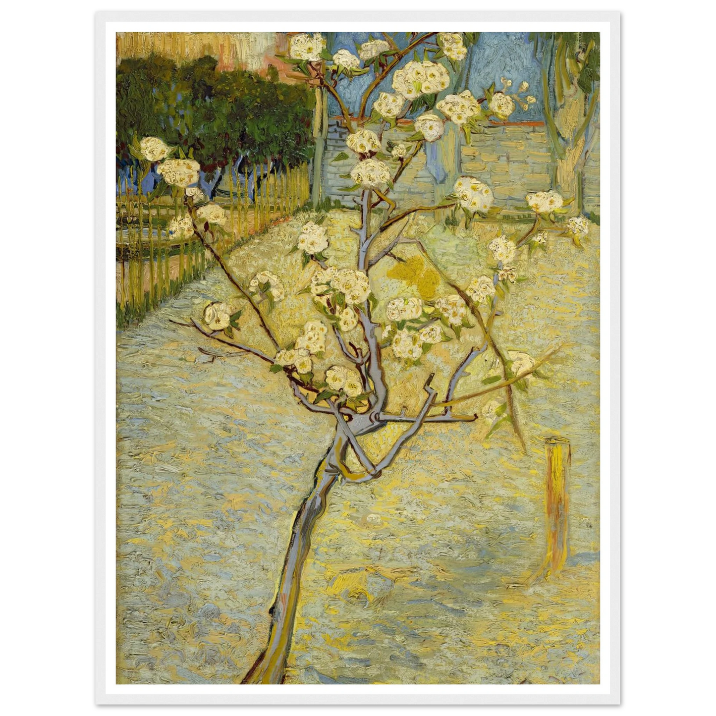 Small pear tree in blossom (1888) Art Print | Vincent van Gogh-Quipham Collections