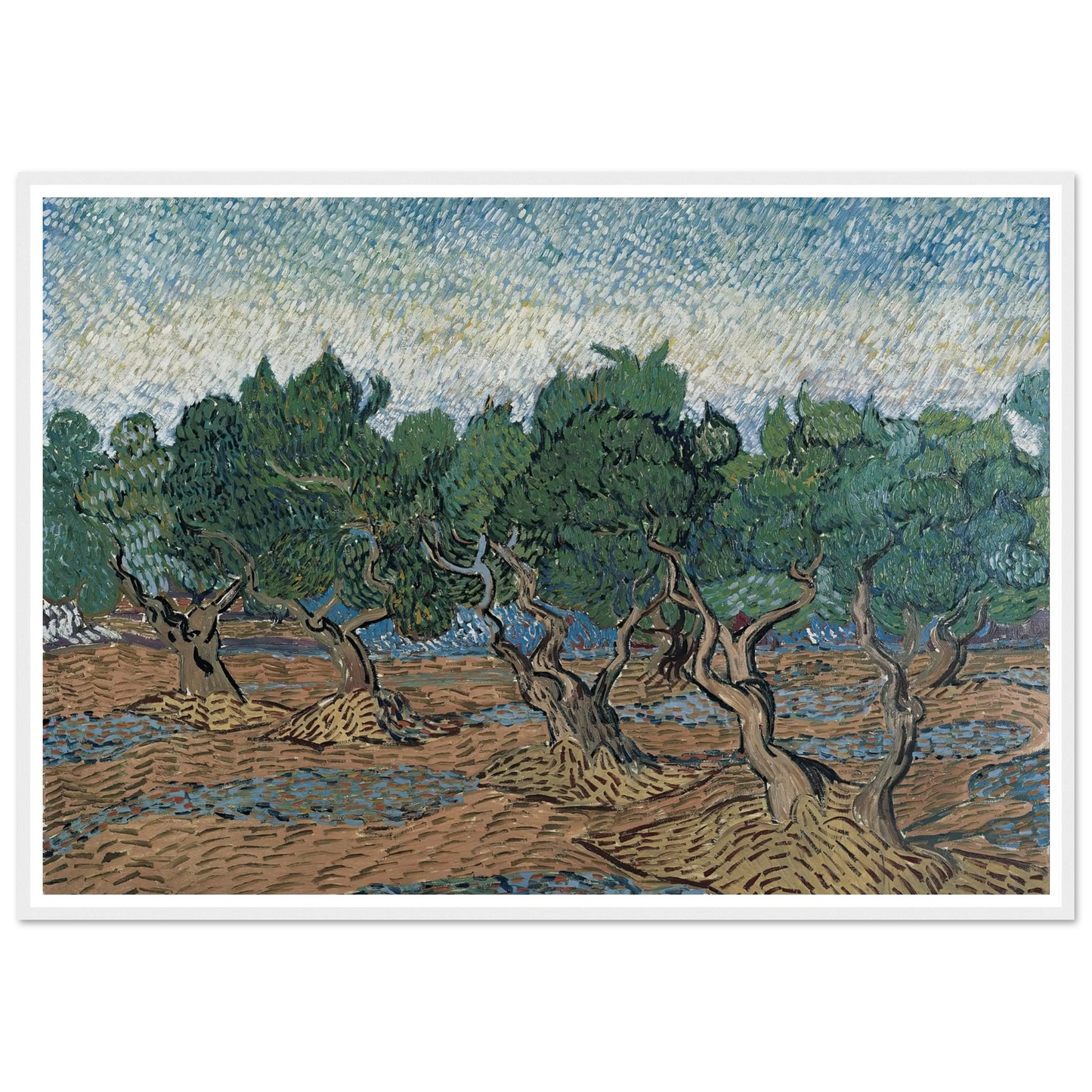 Olive grove Art Print | Vincent van Gogh-Quipham Collections