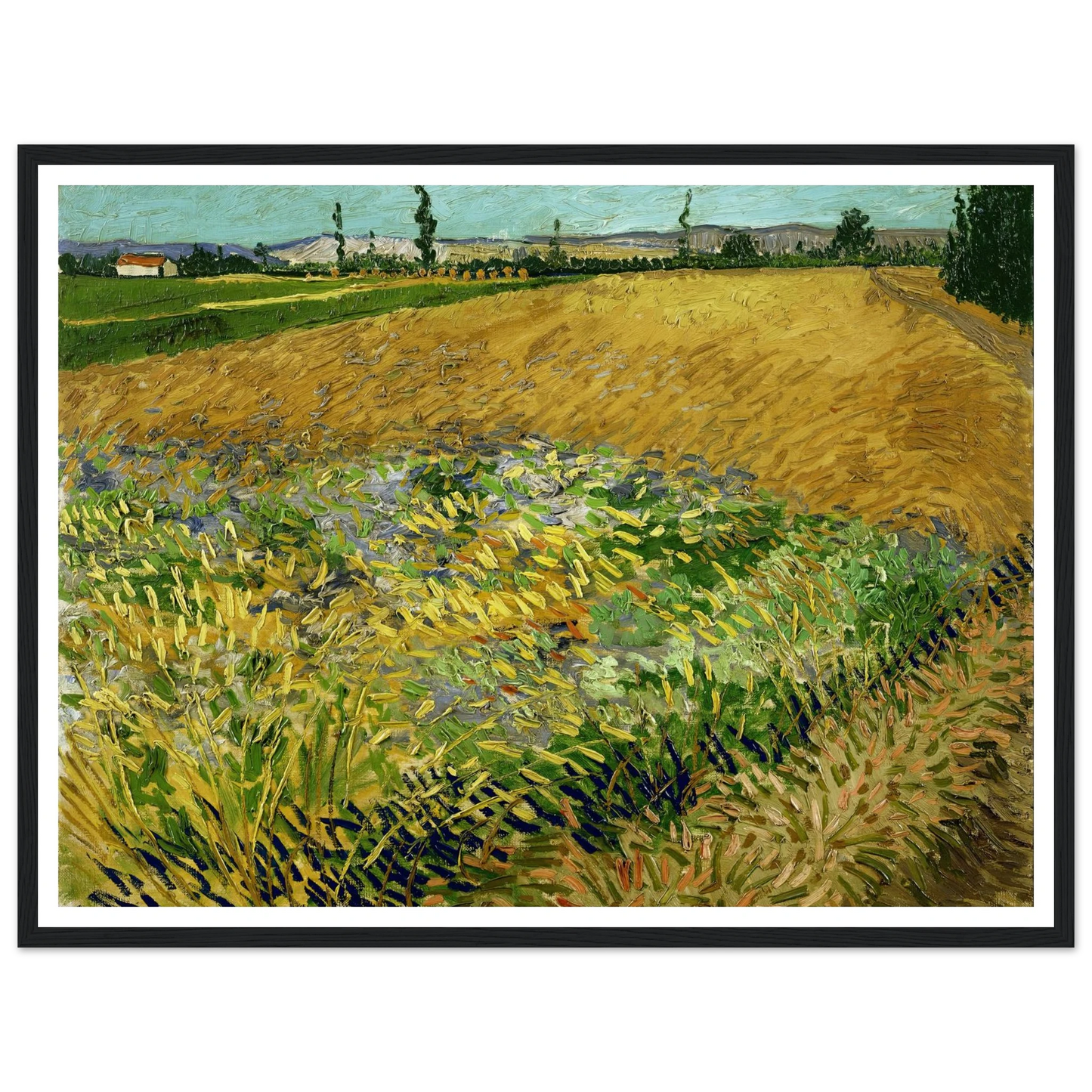 Wheatfield (1888) Art Print | Vincent van Gogh-Quipham Collections