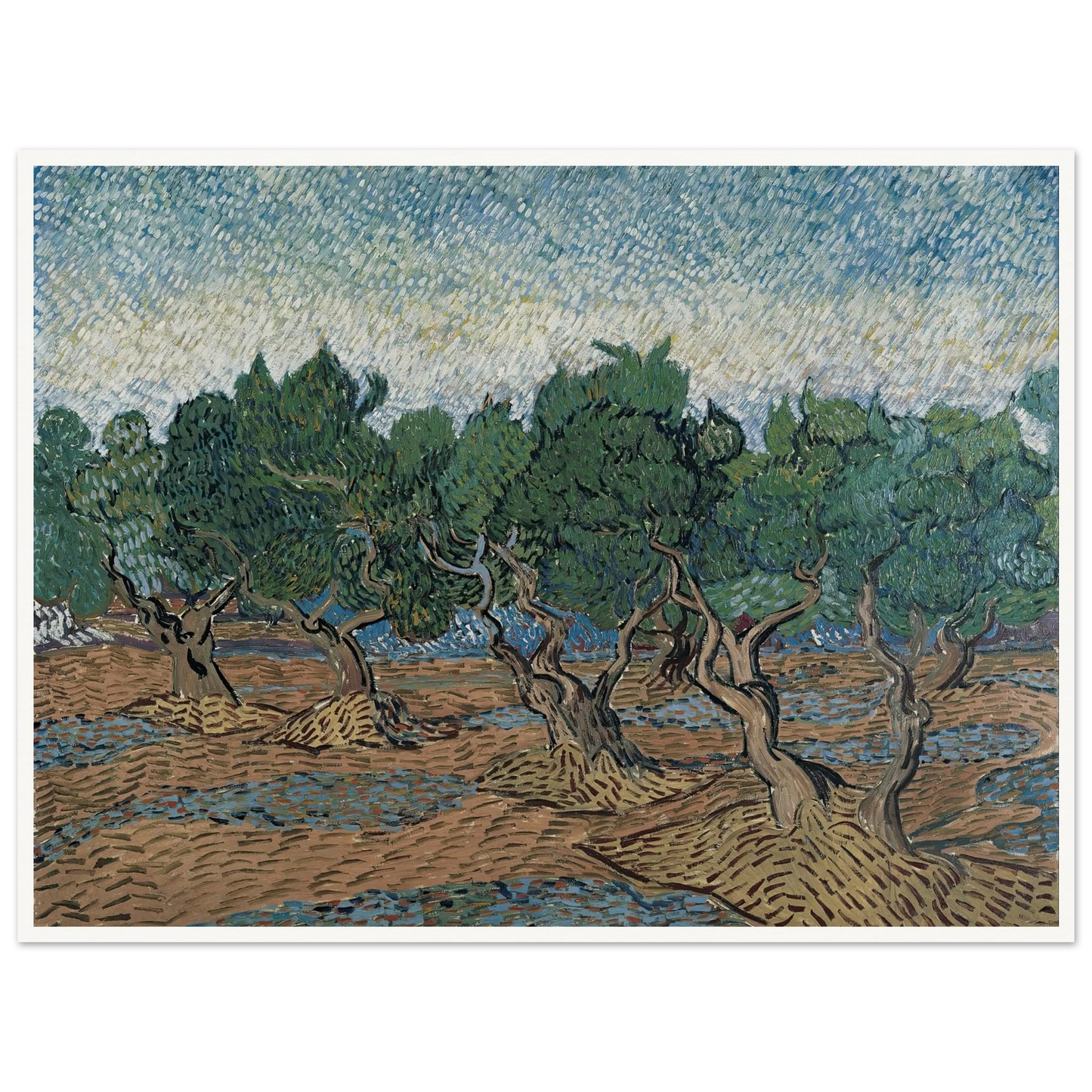 Olive grove Art Print | Vincent van Gogh-Quipham Collections