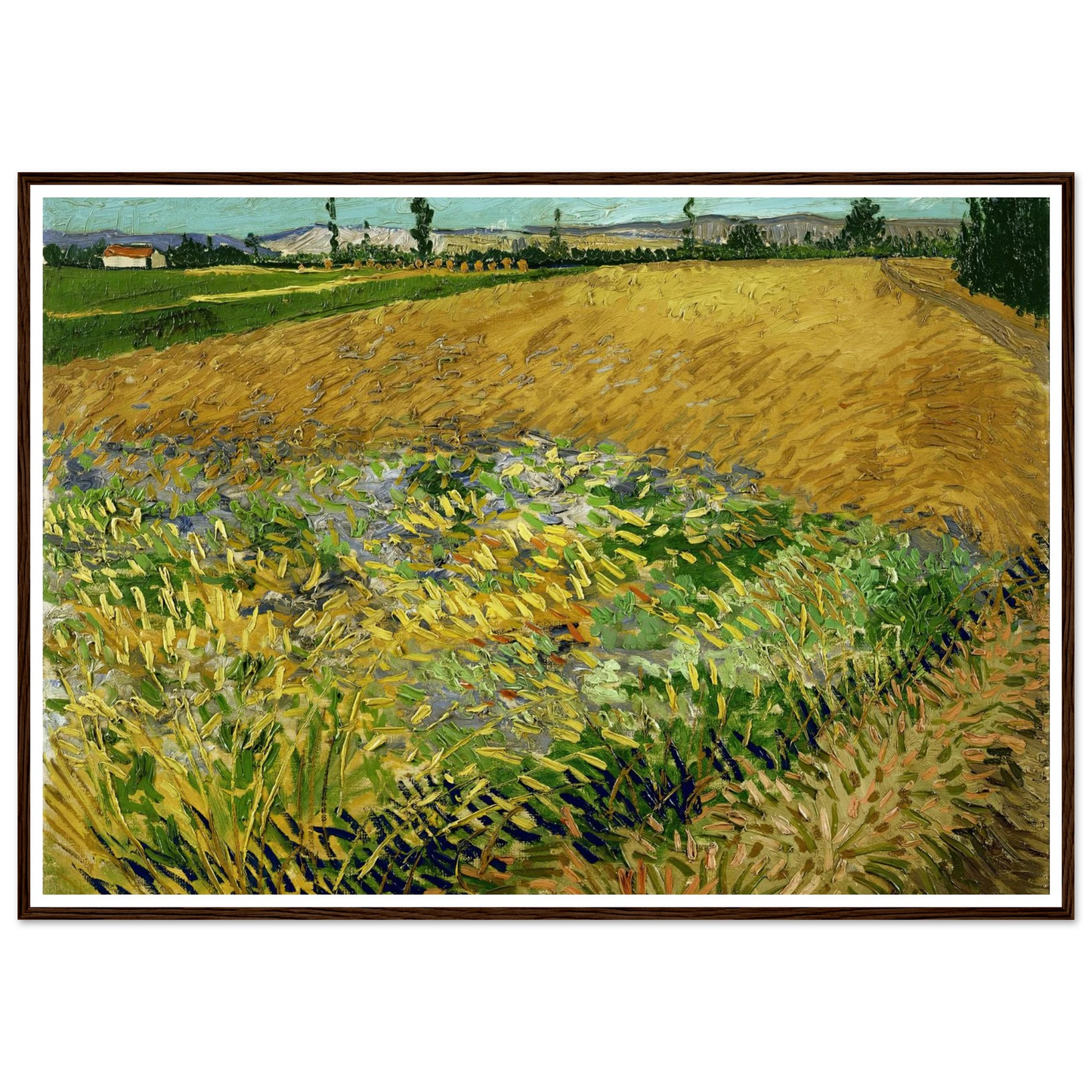 Wheatfield (1888) Art Print | Vincent van Gogh-Quipham Collections