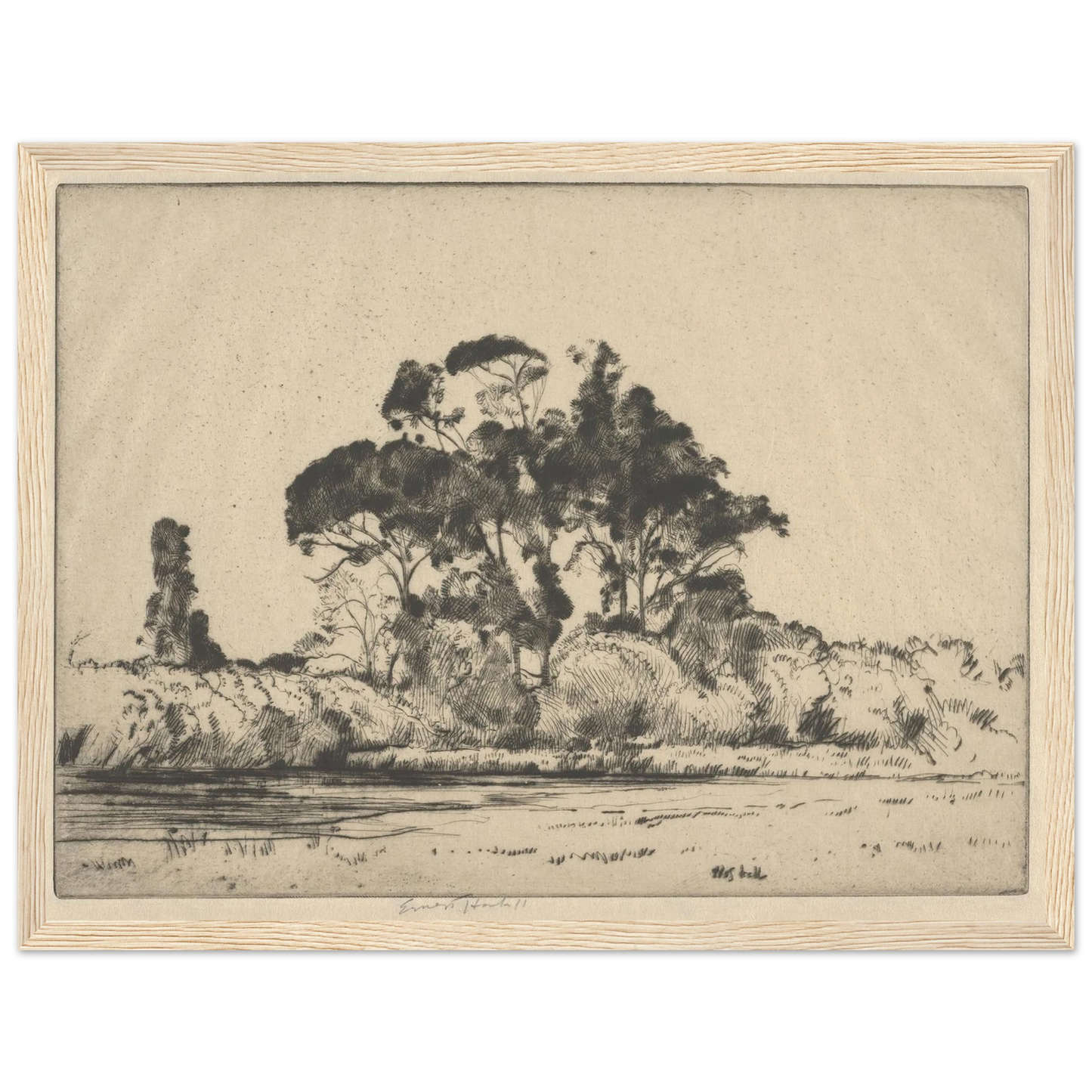 Feathery Trees (1900-1925) Art Print | Ernest Haskell - Framed Poster - 30x40 cm / 12x16″ - Black frame