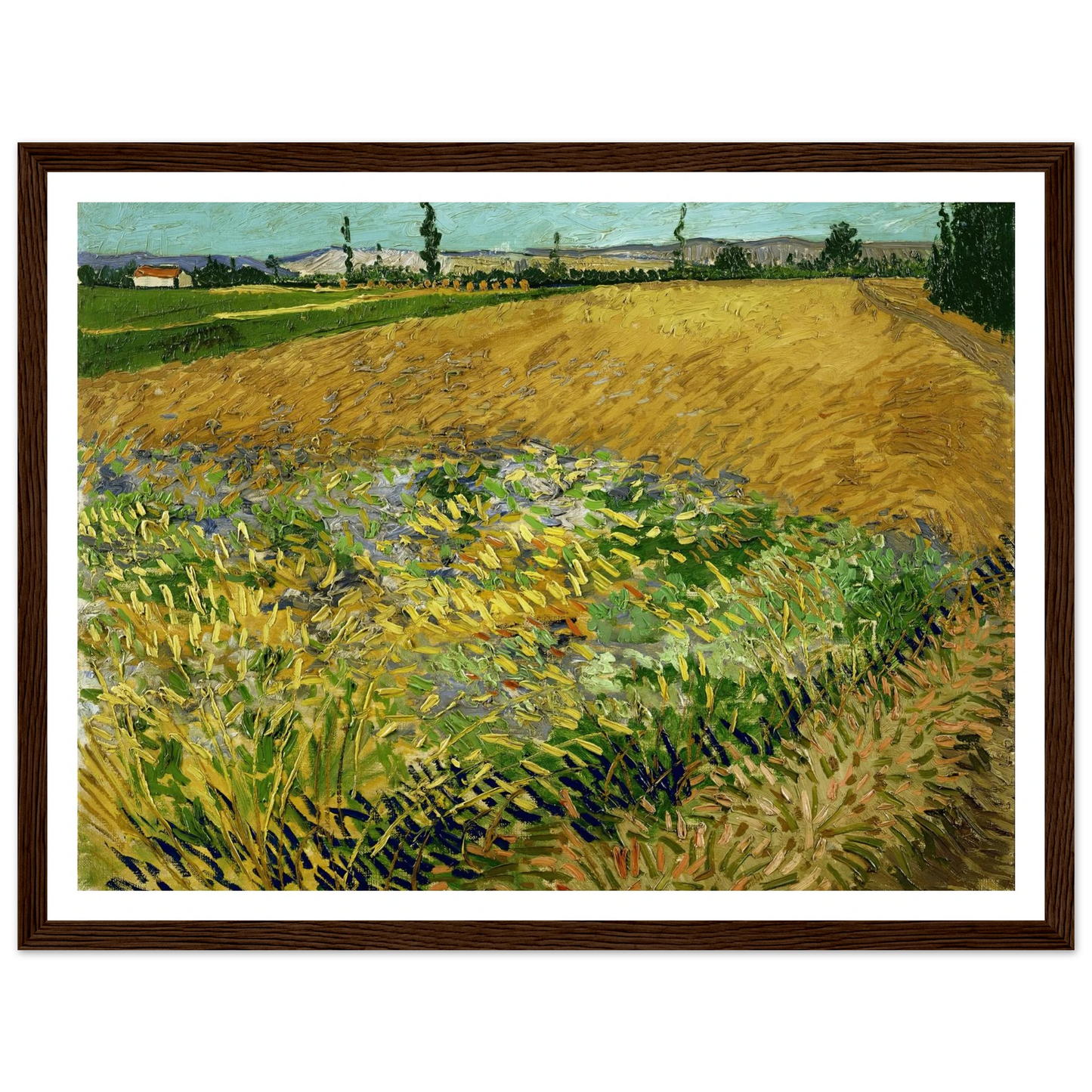 Wheatfield (1888) Art Print | Vincent van Gogh-Quipham Collections