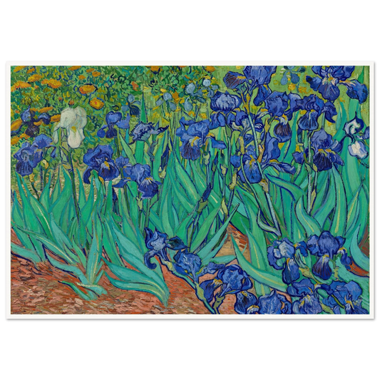 Irises (1889) Art Print | Vincent van Gogh - Framed Poster - 30x40 cm / 12x16″ - Black frame