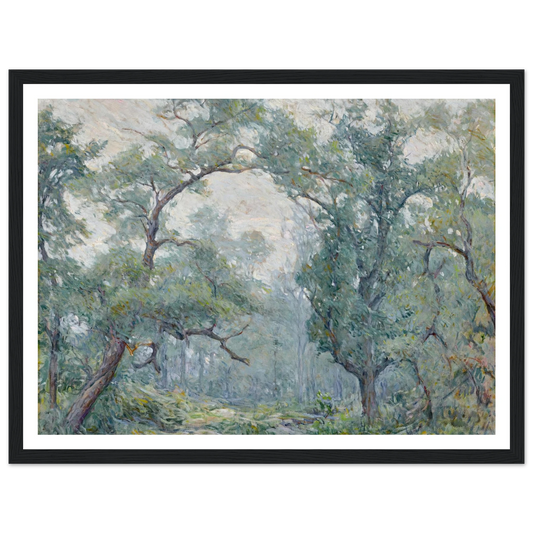 Old Willows Art Print | Robert Reid - Framed Poster - 30x40 cm / 12x16″ - Black frame