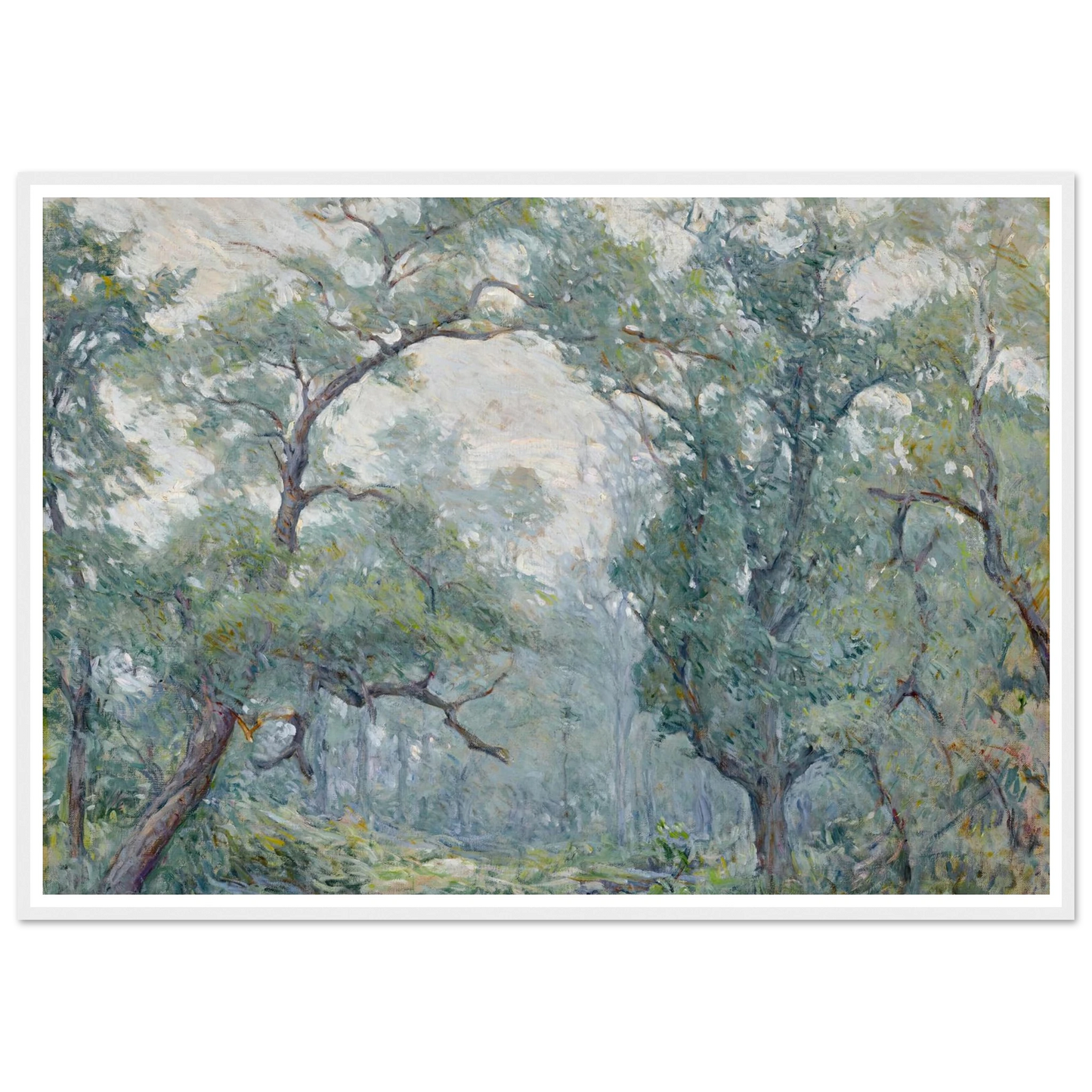 Old Willows Art Print | Robert Reid - Framed Poster - 30x40 cm / 12x16″ - Black frame