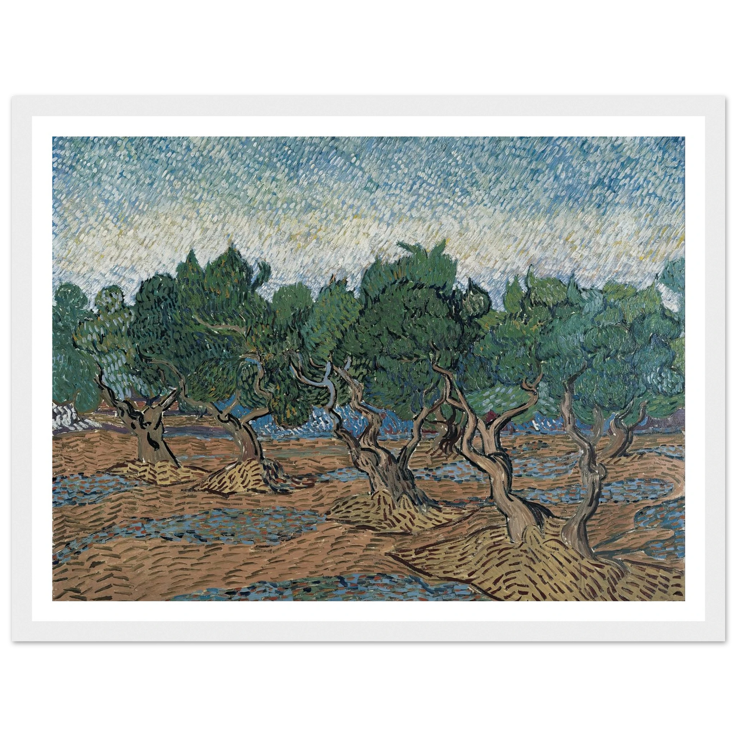 Olive grove Art Print | Vincent van Gogh - Framed Poster - 30x40 cm / 12x16″ - Black frame