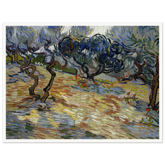 Olive Trees Art Print | Vincent van Gogh - Framed Poster - 30x40 cm / 12x16″ - Black frame