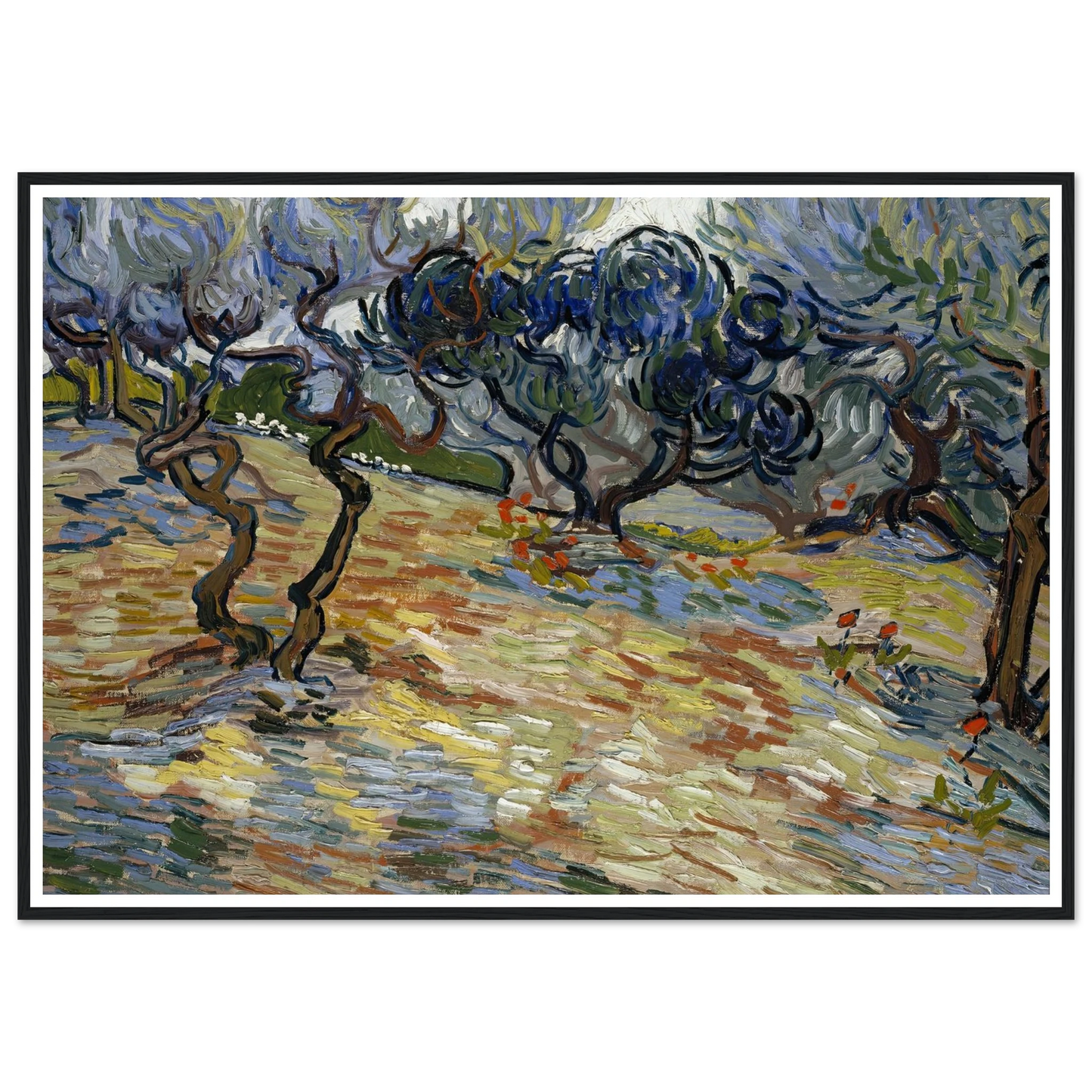 Olive Trees Art Print | Vincent van Gogh - Framed Poster - 30x40 cm / 12x16″ - Black frame