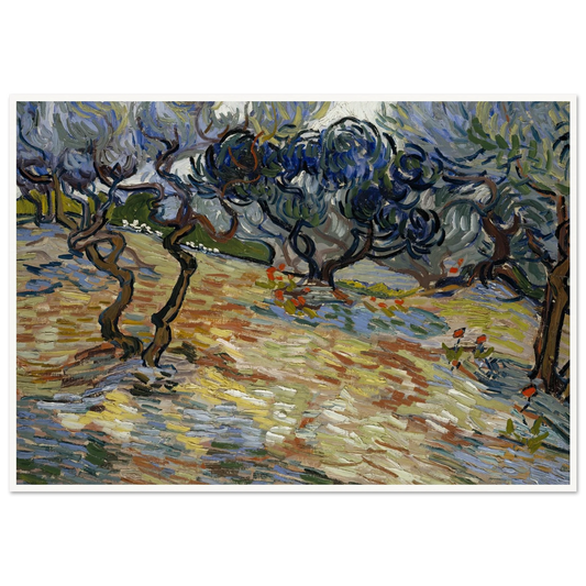 Olive Trees Art Print | Vincent van Gogh - Framed Poster - 30x40 cm / 12x16″ - Black frame