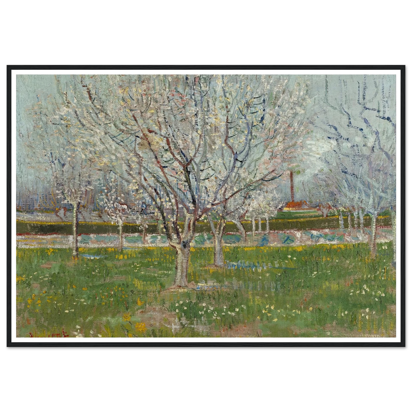Orchard in Blossom (Plum Trees) Art Print | Vincent van Gogh - Framed Poster - 30x40 cm / 12x16″ - Black frame