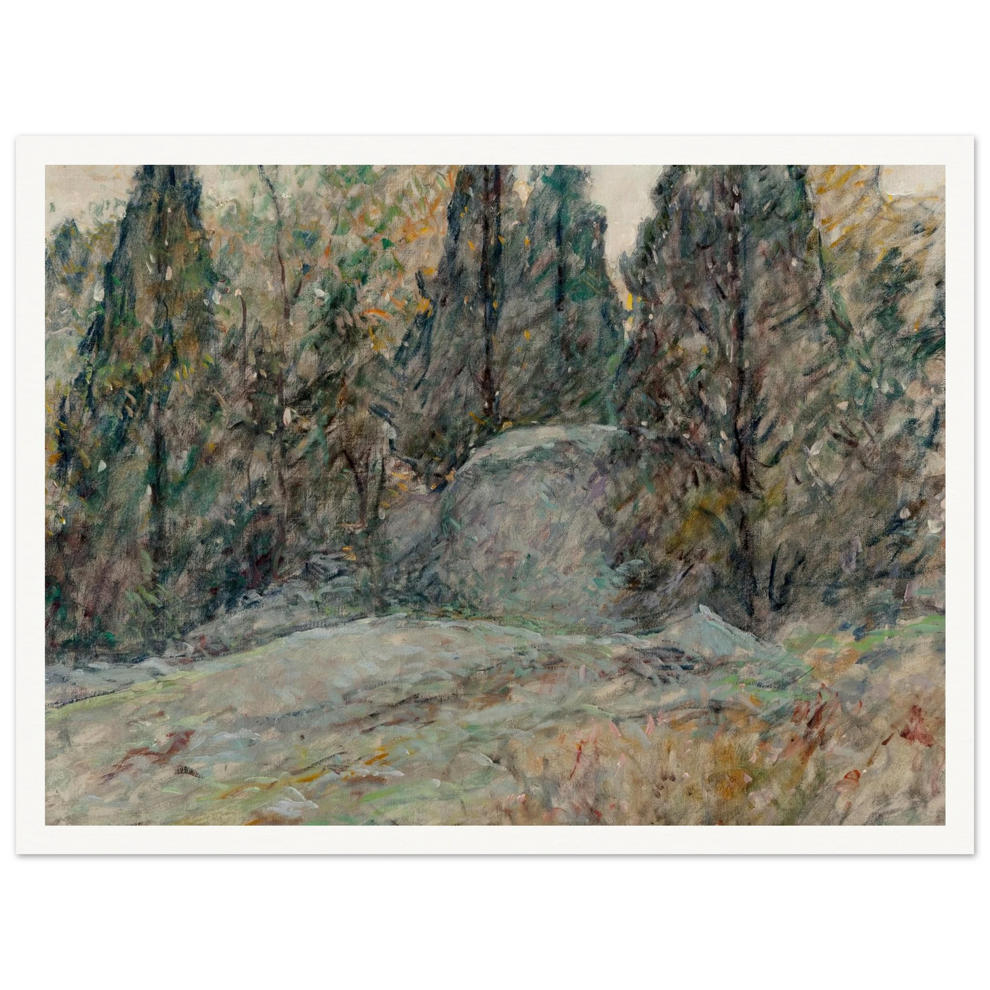 Red Cedars and Rocks Art Print | Robert Reid - Framed Poster - 30x40 cm / 12x16″ - Black frame