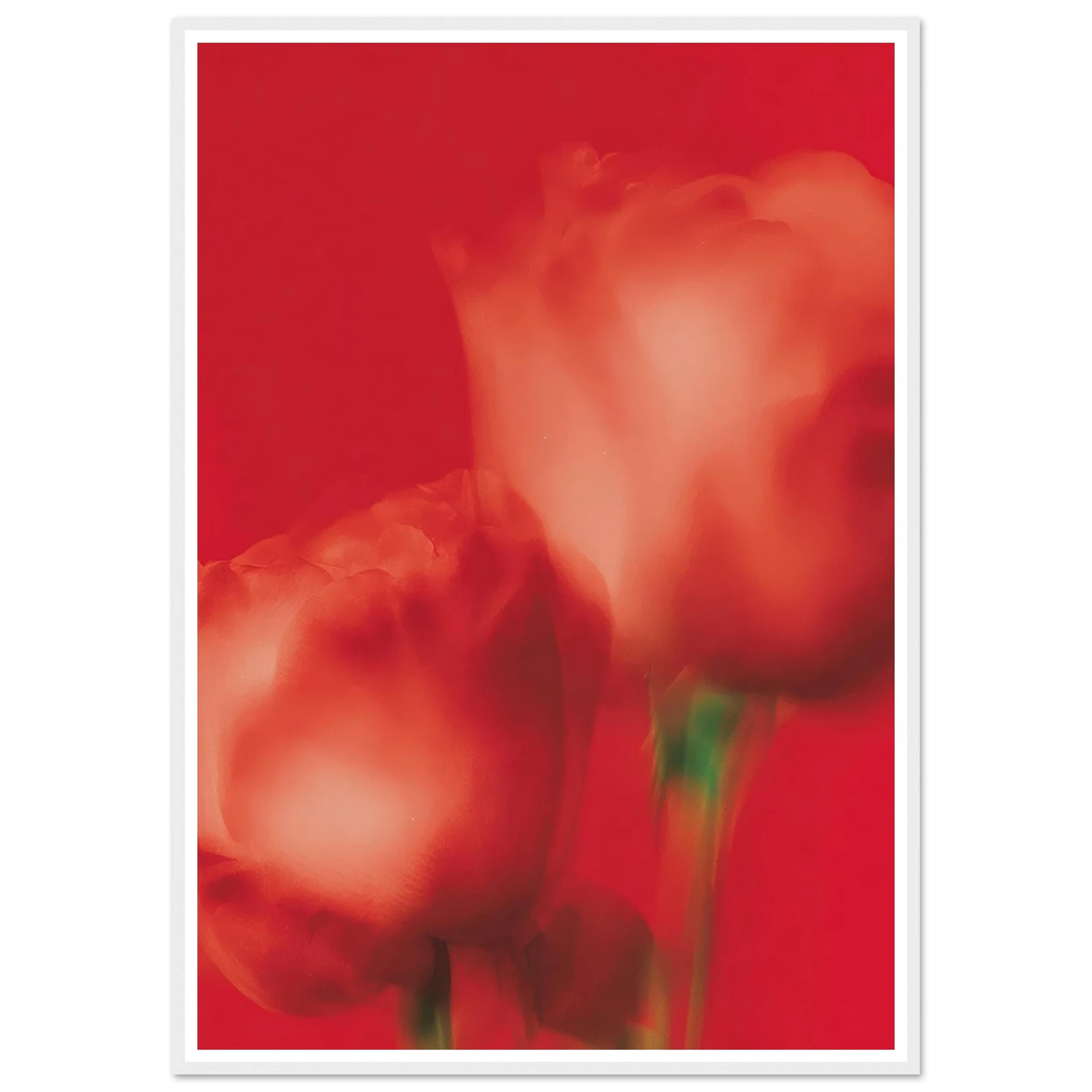 Red Roses - Framed Poster - 30x40 cm / 12x16″ - Black frame