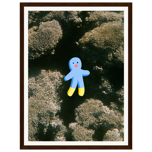 Ocean Wonder — s0_framed_dark_wood