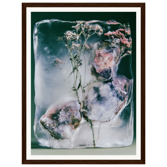 Winter Bloom — s0_framed_dark_wood