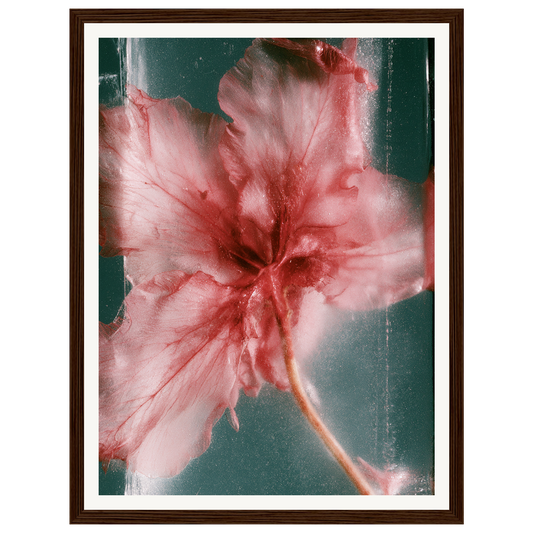 Wild Heart — s0_framed_dark_wood