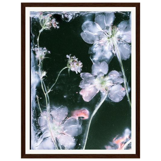 Midnight Bloom — s0_framed_dark_wood