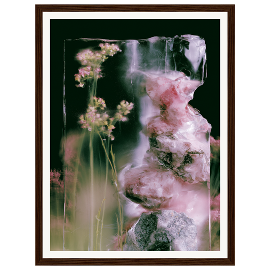 Frozen Whisper — s0_framed_dark_wood