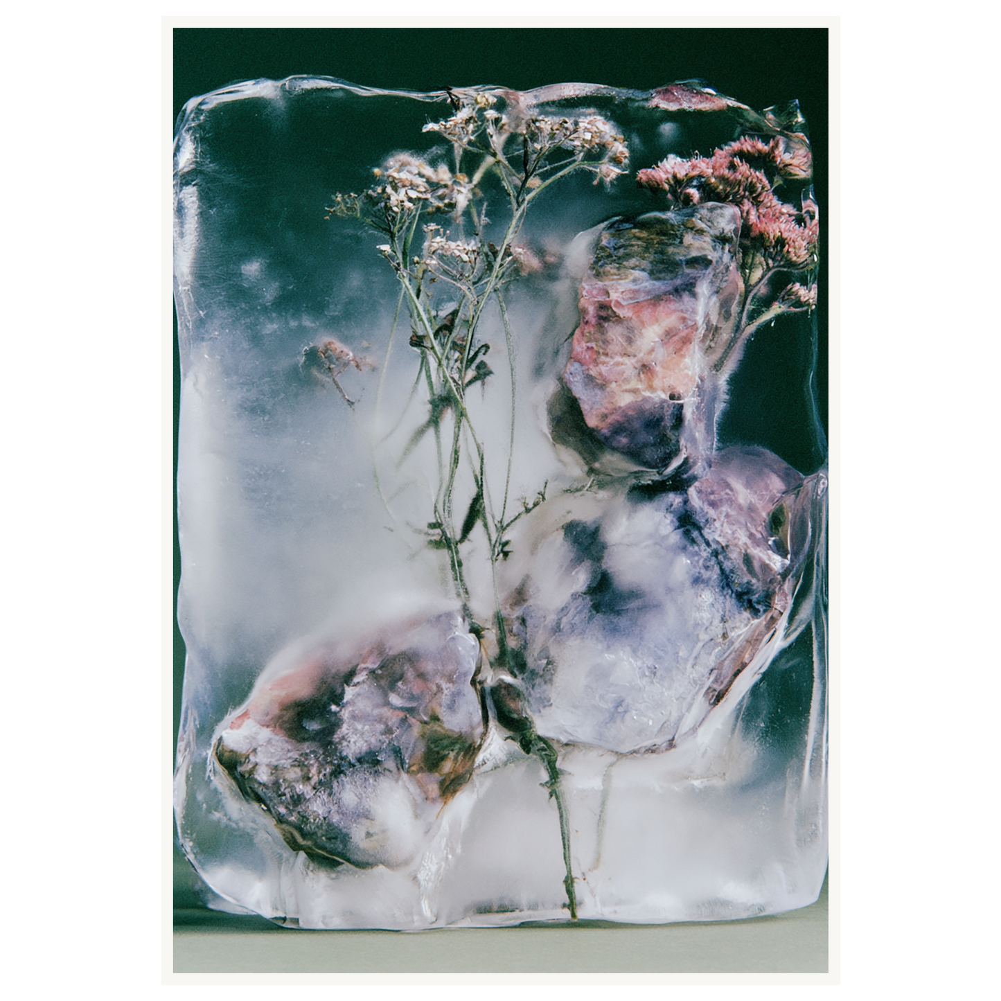 Winter Bloom — s3_poster_none