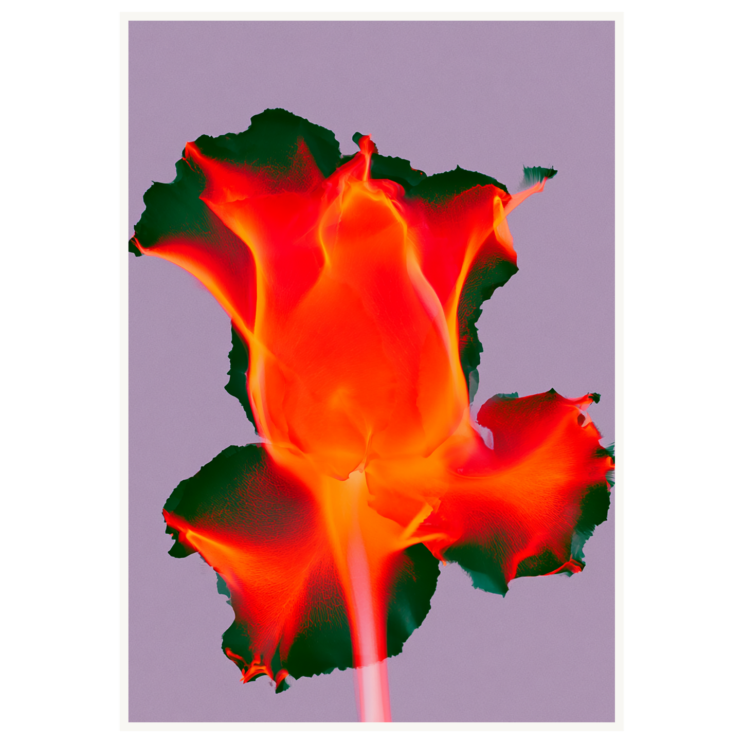 Ruby Glow — s3_poster_none