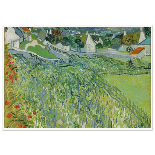 Vineyards at Auvers (1890) Art Print | Vincent van Gogh - Framed Poster - 30x40 cm / 12x16″ - Black frame
