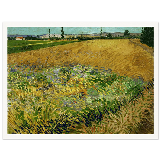 Wheatfield (1888) Art Print | Vincent van Gogh - Framed Poster - 30x40 cm / 12x16″ - Black frame