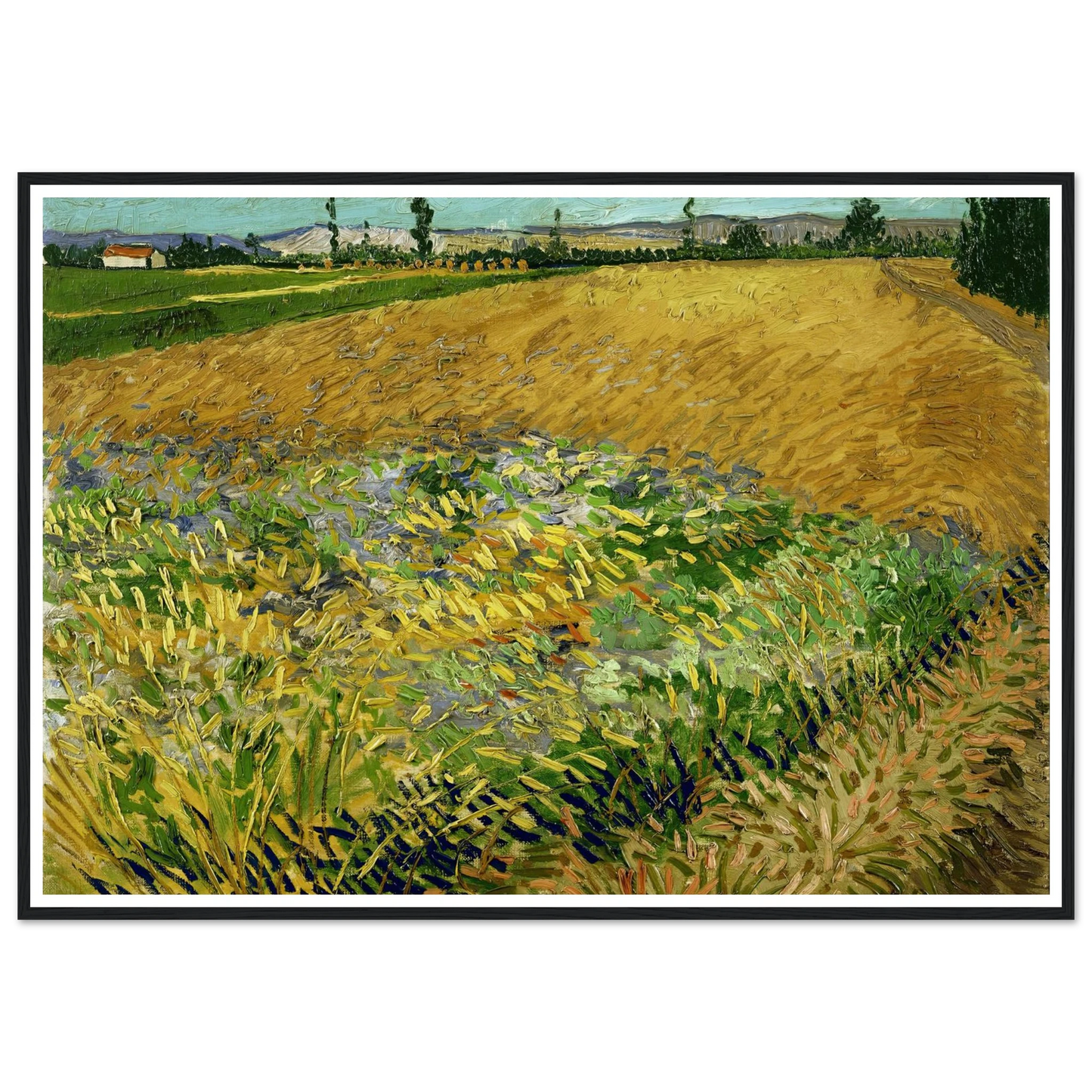 Wheatfield (1888) Art Print | Vincent van Gogh - Framed Poster - 30x40 cm / 12x16″ - Black frame