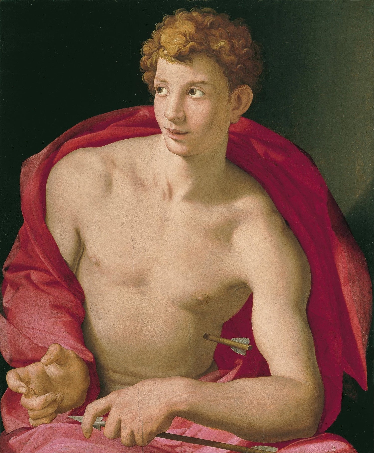 Agnolo Bronzino-Quipham Collections