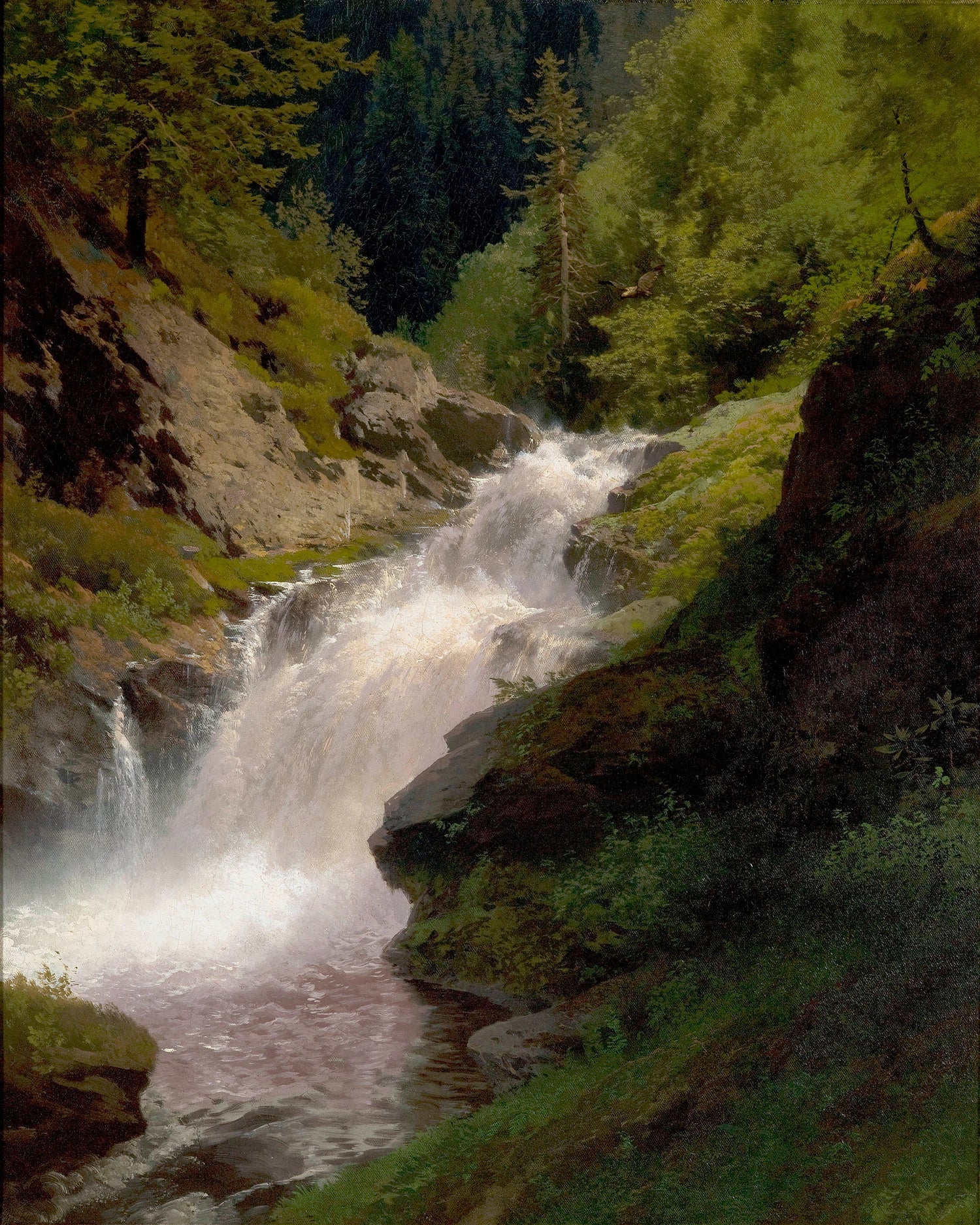 Hermann Ottomar Herzog-Quipham Collections