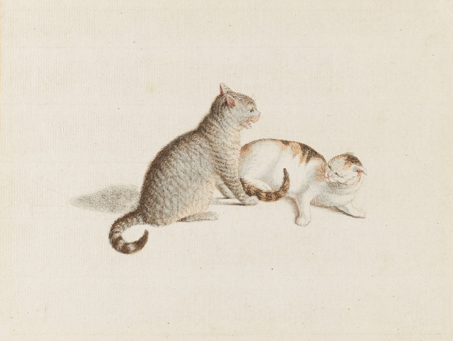 Gottfried Mind-Quipham Collections