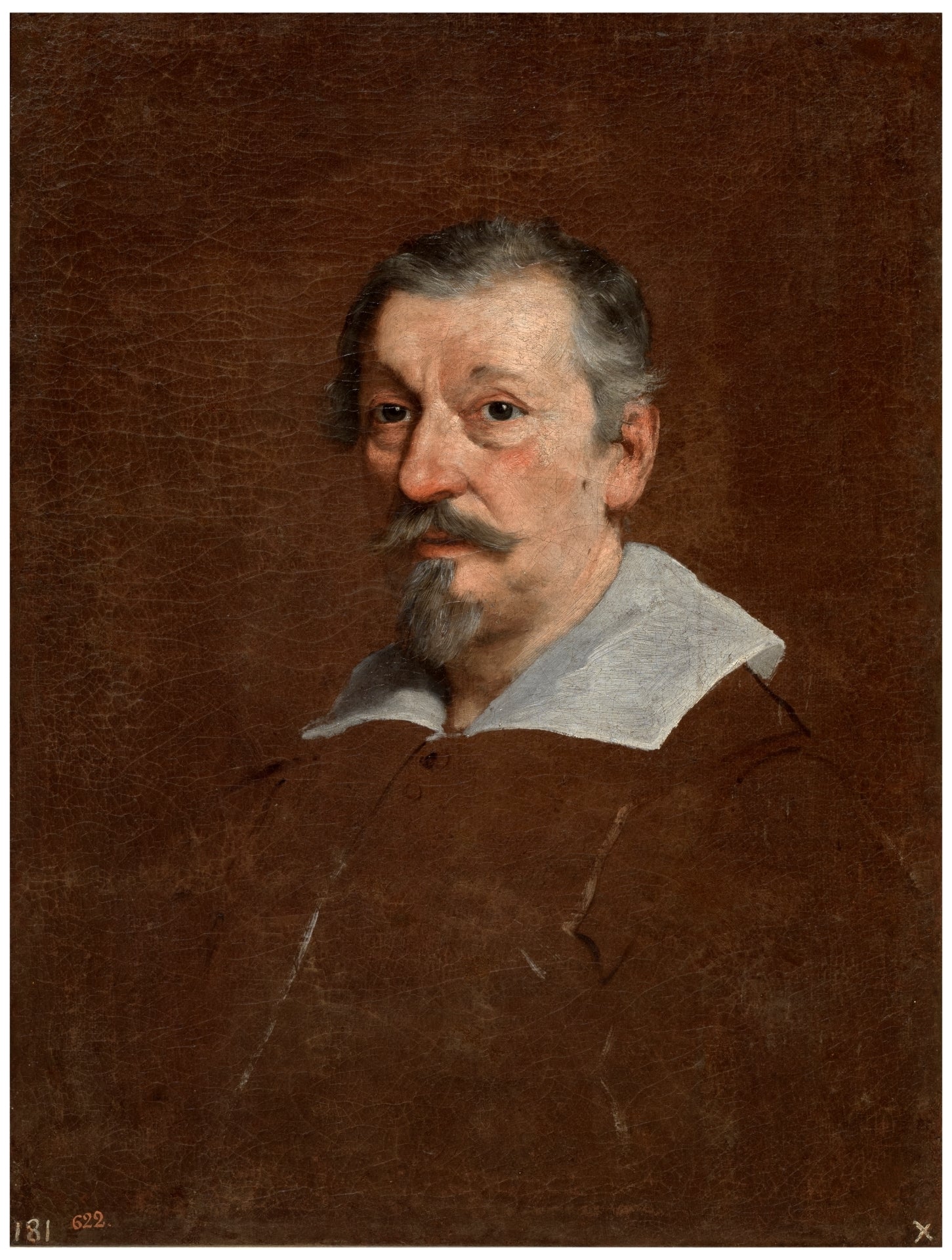 Francesco Albani-Quipham Collections