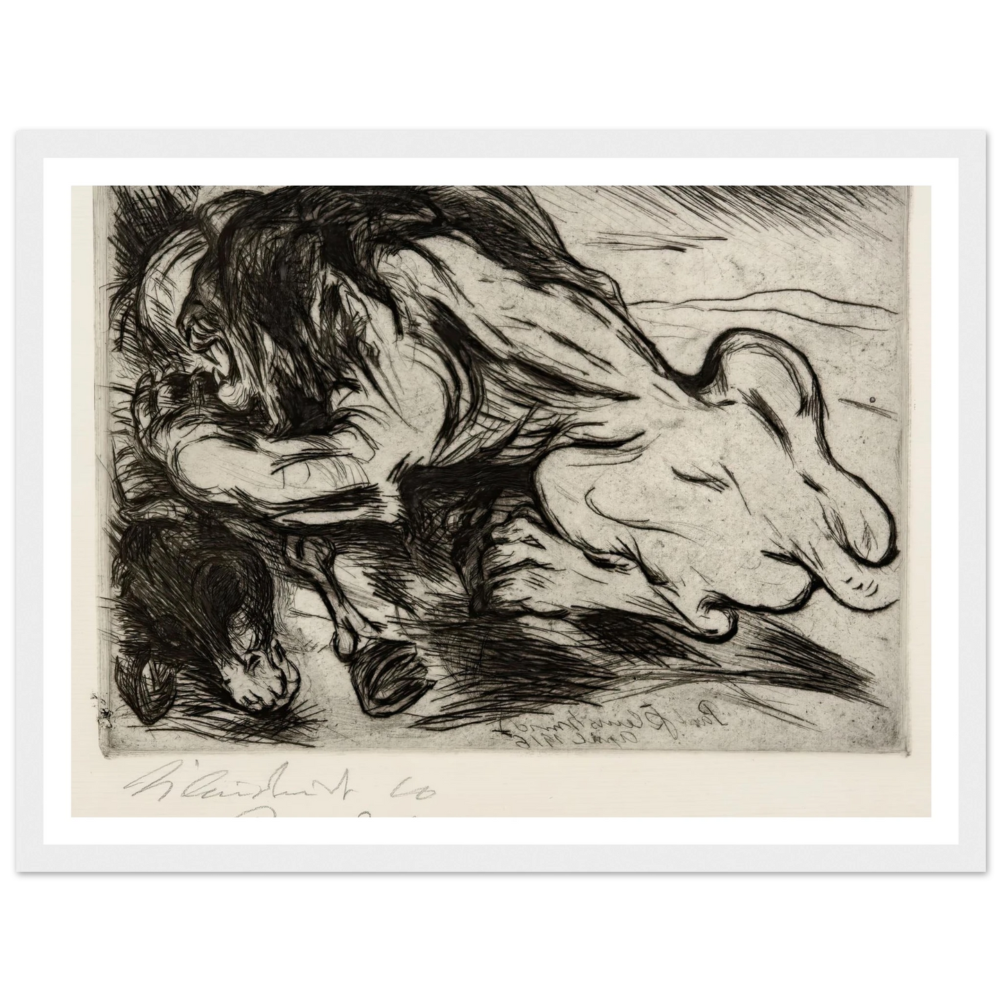 Ein Löwe reißt ein Zebu (1916) Art Print | Paul Kleinschmidt-Quipham Collections