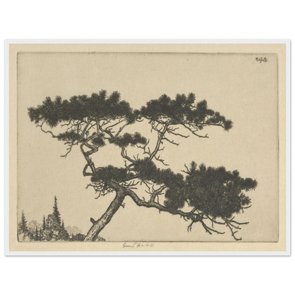 Crippled Pine (between 1900 and 1925) Art Print | Ernest Haskell-Quipham Collections