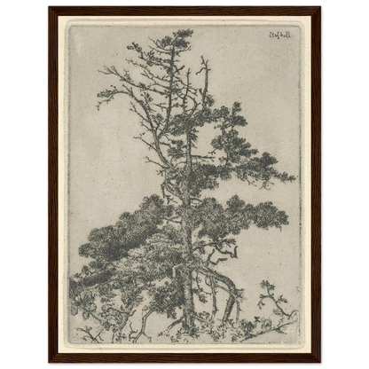 Tree Top (1900-1925) Art Print | Ernest Haskell-Quipham Collections