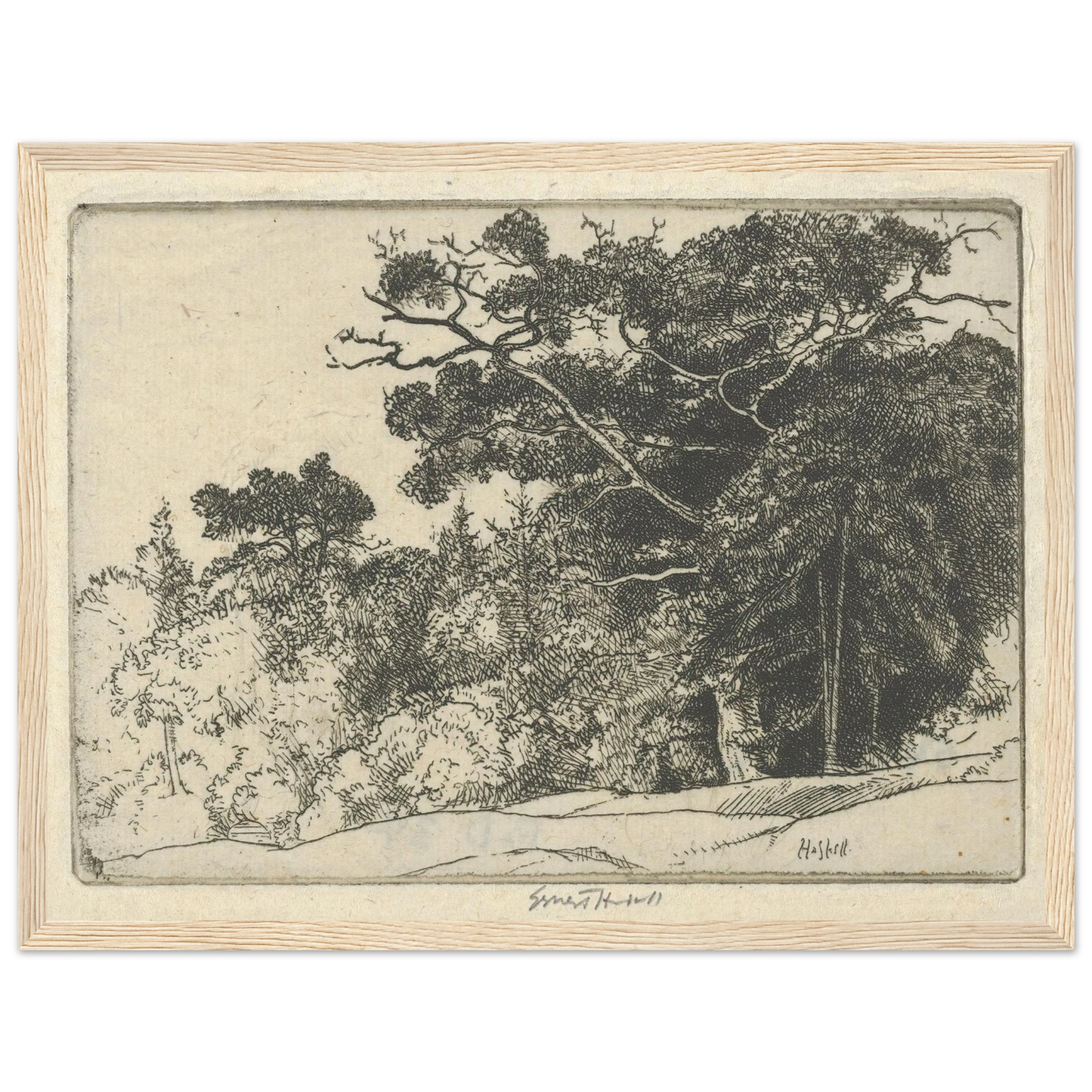 Brown’s Oak (probably 1910) Art Print | Ernest Haskell-Quipham Collections