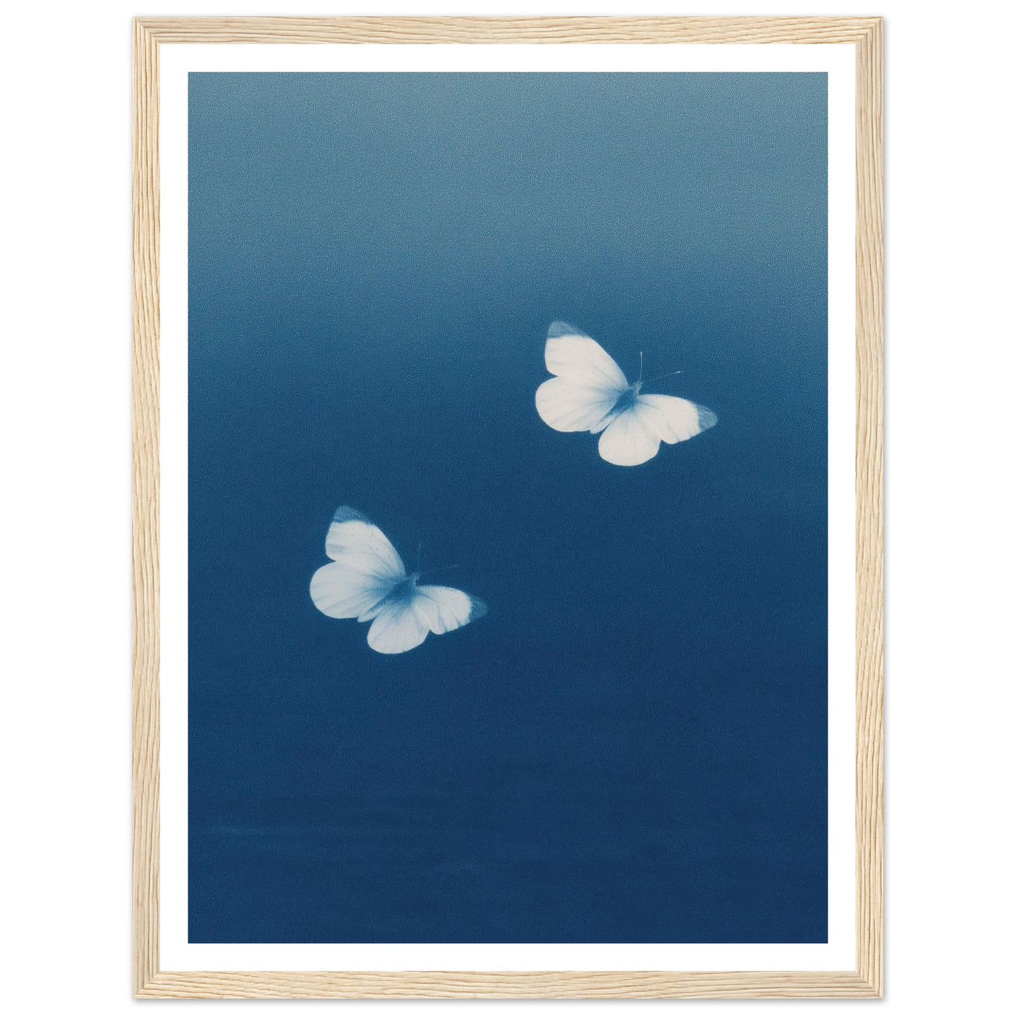 09b36b31-6e97-45bb-a168-fdd36425e304