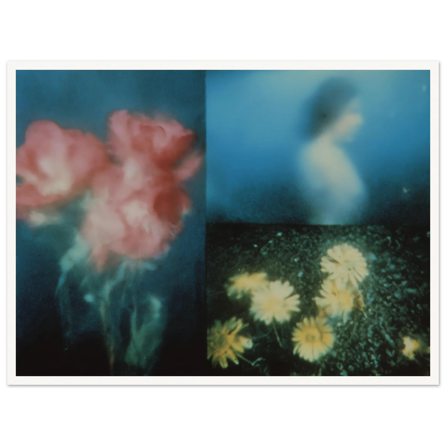 0a7a3068-f508-49fe-a5aa-df607b595aa7